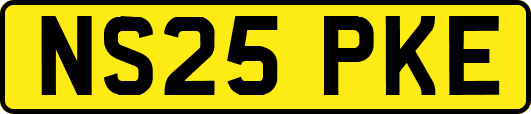 NS25PKE