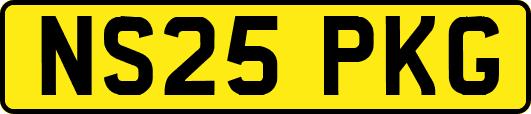 NS25PKG
