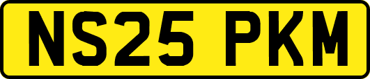 NS25PKM