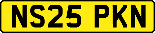 NS25PKN
