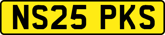NS25PKS