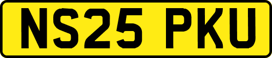 NS25PKU