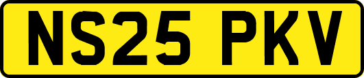 NS25PKV