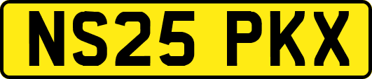 NS25PKX