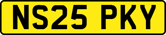 NS25PKY