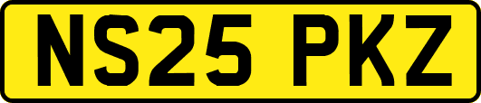 NS25PKZ