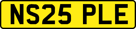 NS25PLE