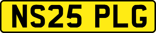 NS25PLG
