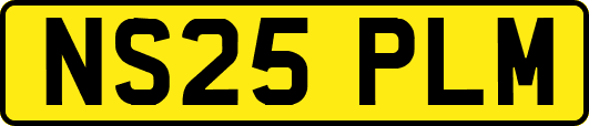 NS25PLM