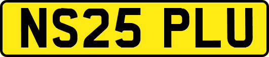 NS25PLU