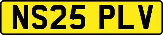 NS25PLV