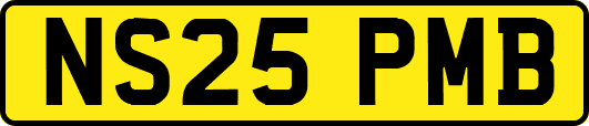 NS25PMB