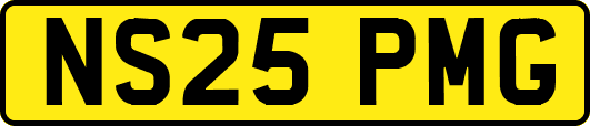 NS25PMG