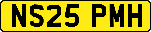 NS25PMH