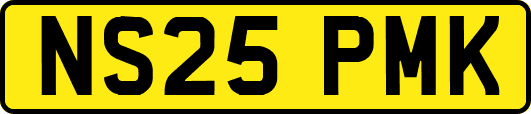 NS25PMK