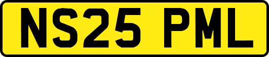 NS25PML