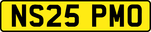 NS25PMO