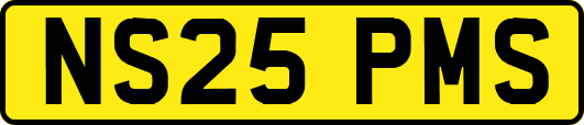 NS25PMS