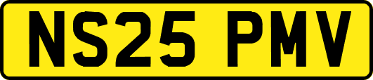 NS25PMV