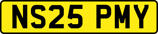 NS25PMY