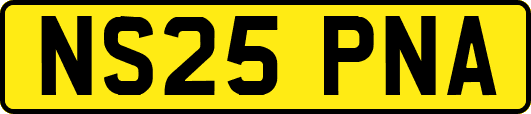 NS25PNA