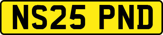 NS25PND