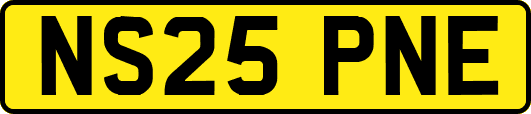 NS25PNE