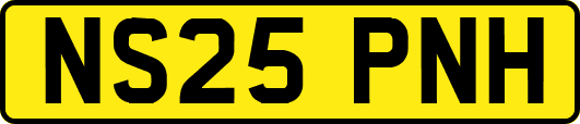 NS25PNH