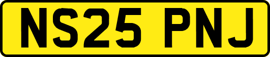 NS25PNJ