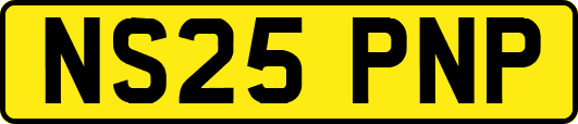 NS25PNP