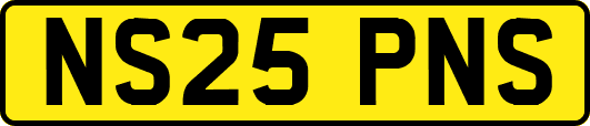 NS25PNS