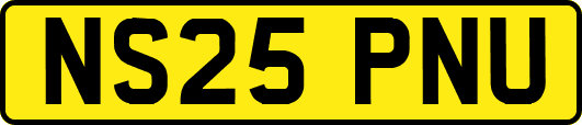 NS25PNU