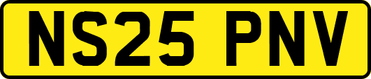 NS25PNV
