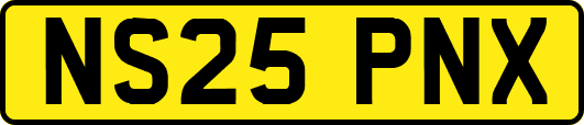 NS25PNX