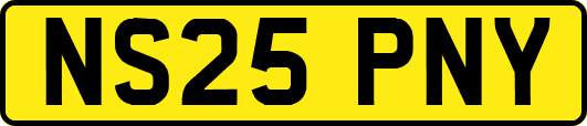 NS25PNY