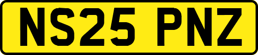 NS25PNZ