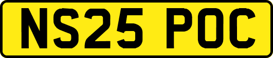 NS25POC