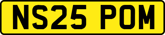 NS25POM