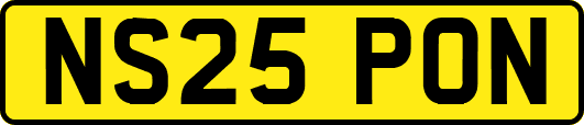 NS25PON
