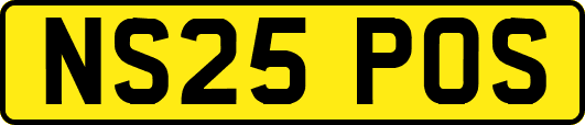 NS25POS