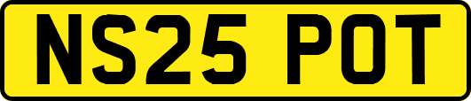 NS25POT