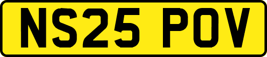 NS25POV