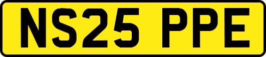 NS25PPE