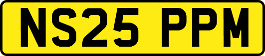 NS25PPM