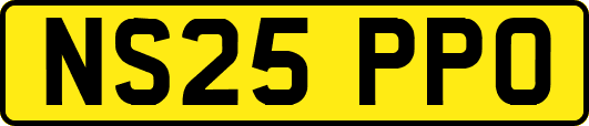 NS25PPO