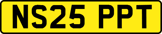 NS25PPT