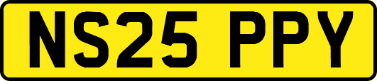 NS25PPY