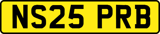 NS25PRB