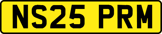 NS25PRM