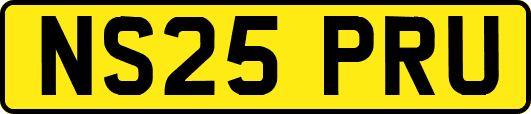 NS25PRU